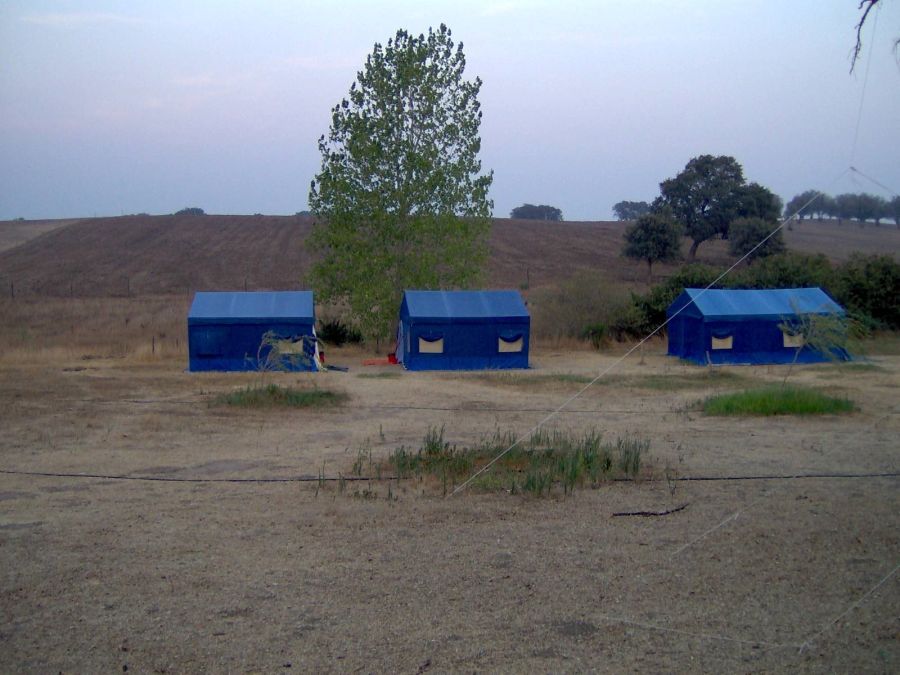 Delmiro e Fausto na Suiça